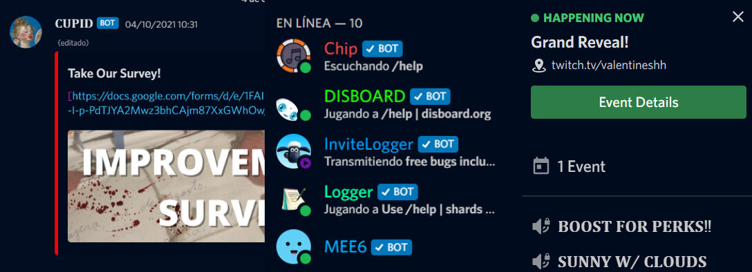 Professional Discord Setup