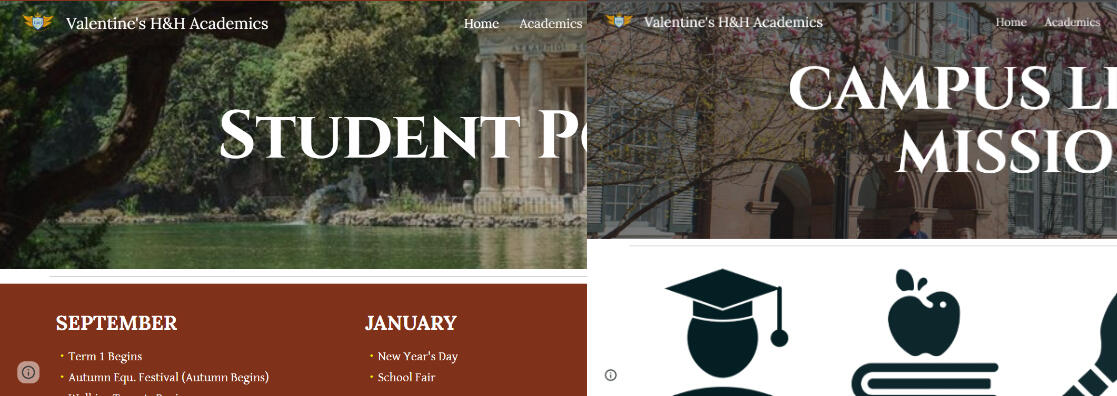 Profesionally Customized Websites